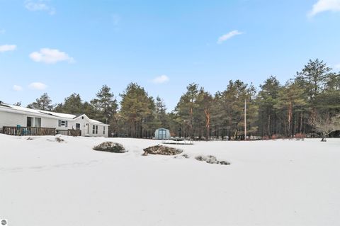 Tiny photo for 6565 N 31 Road, Manton, MI 49663 (MLS # 1942418)