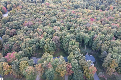 Tiny photo for 19199 Ridge View Lane, Lake Ann, MI 49650 (MLS # 1951368)