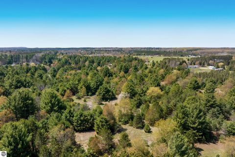 Tiny photo for 3857 Betsie River Road, Interlochen, MI 49643 (MLS # 1945115)
