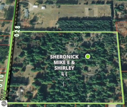 Tiny photo for 3857 Betsie River Road, Interlochen, MI 49643 (MLS # 1945115)