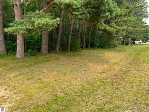 Tiny photo for 410 14th Street, Cadillac, MI 49601 (MLS # 1948133)