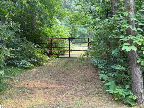 Tiny photo for 410 14th Street, Cadillac, MI 49601 (MLS # 1948133)
