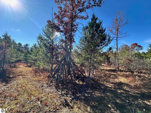 Tiny photo for 11664 Revord Road, Fife Lake, MI 49633 (MLS # 1942657)