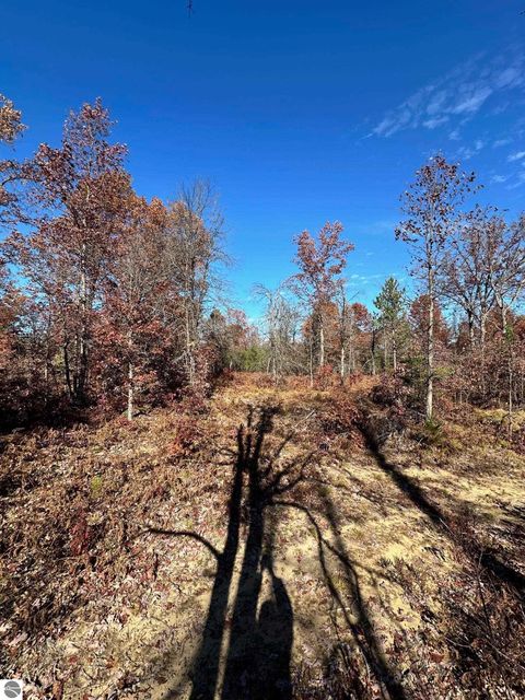 Tiny photo for 11664 Revord Road, Fife Lake, MI 49633 (MLS # 1942657)