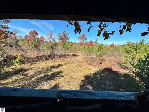 Tiny photo for 11664 Revord Road, Fife Lake, MI 49633 (MLS # 1942657)