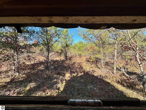 Tiny photo for 11664 Revord Road, Fife Lake, MI 49633 (MLS # 1942657)