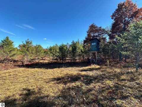 Tiny photo for 11664 Revord Road, Fife Lake, MI 49633 (MLS # 1942657)