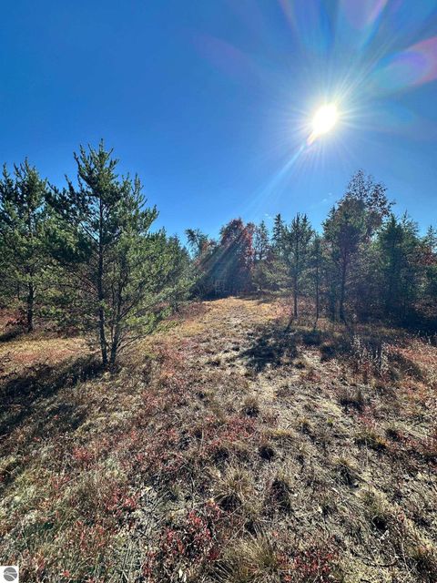 Tiny photo for 11664 Revord Road, Fife Lake, MI 49633 (MLS # 1942657)