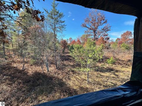 Tiny photo for 11664 Revord Road, Fife Lake, MI 49633 (MLS # 1942657)