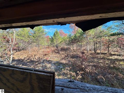 Tiny photo for 11664 Revord Road, Fife Lake, MI 49633 (MLS # 1942657)