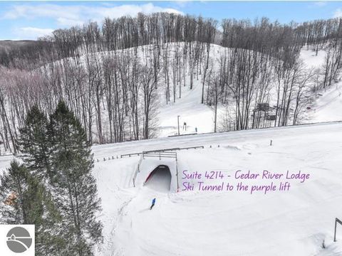 Tiny photo for 2400 Troon South #4214, Bellaire, MI 49615 (MLS # 1941644)