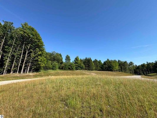 E BELLINGER RD, CEDAR, MI 49621 - Image 38ee2da8d100d717735c23bfca1c1f90/3632647753