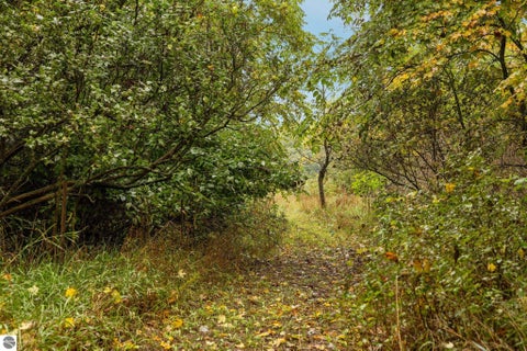 Tiny photo for 203 S Pioneer Road, Beulah, MI 49617 (MLS # 1951259)