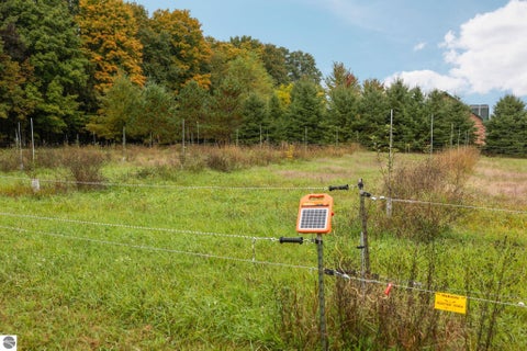 Tiny photo for 203 S Pioneer Road, Beulah, MI 49617 (MLS # 1951259)