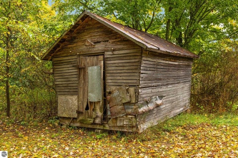 Tiny photo for 203 S Pioneer Road, Beulah, MI 49617 (MLS # 1951259)