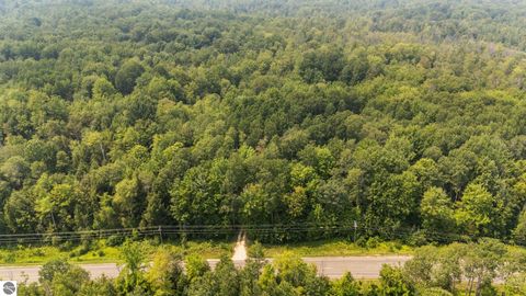 Tiny photo for 16862 Healy Lake Road, Thompsonville, MI 49683 (MLS # 1942855)