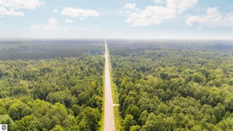 Tiny photo for 16862 Healy Lake Road, Thompsonville, MI 49683 (MLS # 1942855)