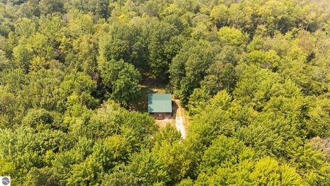 Tiny photo for 16862 Healy Lake Road, Thompsonville, MI 49683 (MLS # 1942855)