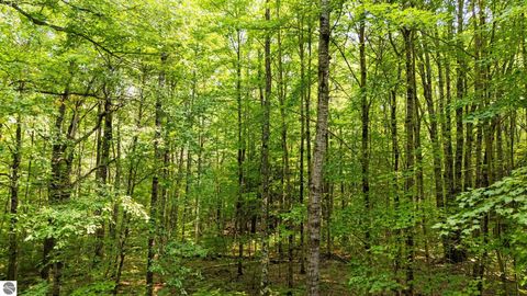 Tiny photo for 16862 Healy Lake Road, Thompsonville, MI 49683 (MLS # 1942855)