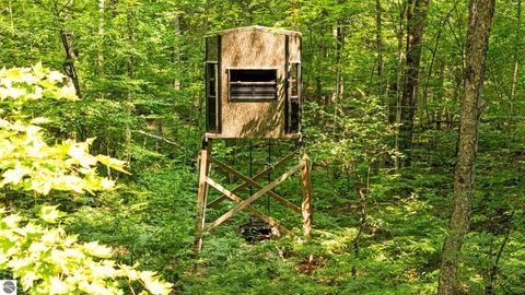 Tiny photo for 16862 Healy Lake Road, Thompsonville, MI 49683 (MLS # 1942855)