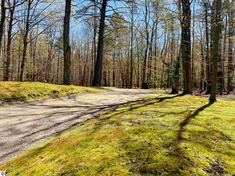 Tiny photo for 724 S Golden Beach Drive, Kewadin, MI 49648 (MLS # 1945453)