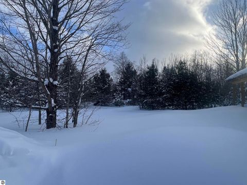 Tiny photo for 3690 County Road 571, Kalkaska, MI 49646 (MLS # 1941805)