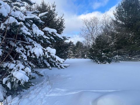 Tiny photo for 3690 County Road 571, Kalkaska, MI 49646 (MLS # 1941805)