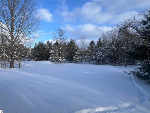 Tiny photo for 3690 County Road 571, Kalkaska, MI 49646 (MLS # 1941805)
