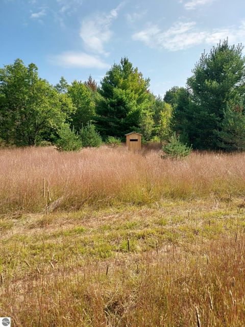 Tiny photo for 3690 County Road 571, Kalkaska, MI 49646 (MLS # 1941805)