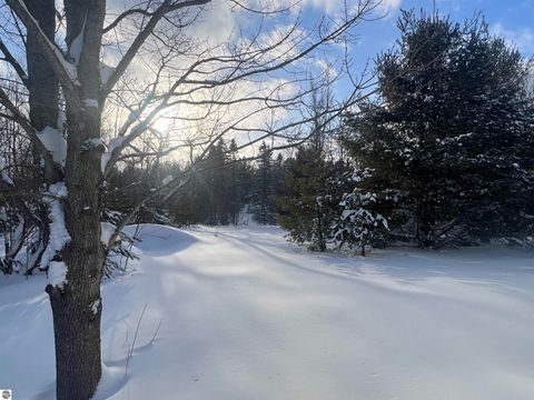 Tiny photo for 3690 County Road 571, Kalkaska, MI 49646 (MLS # 1941805)