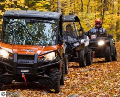 Tiny photo for 3690 County Road 571, Kalkaska, MI 49646 (MLS # 1941805)