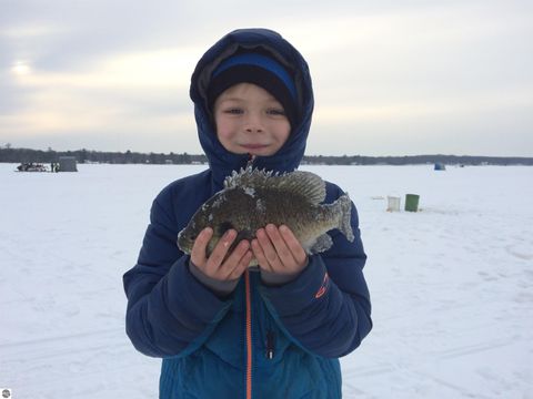 Tiny photo for 3690 County Road 571, Kalkaska, MI 49646 (MLS # 1941805)