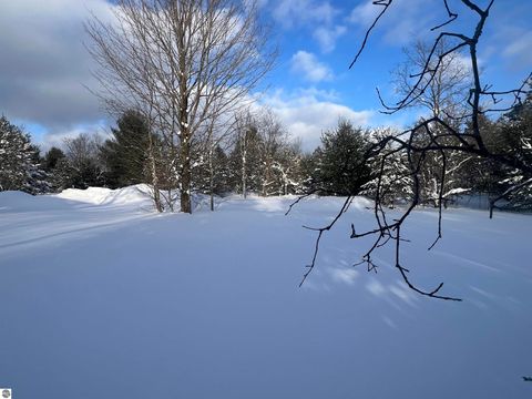 Tiny photo for 3690 County Road 571, Kalkaska, MI 49646 (MLS # 1941805)
