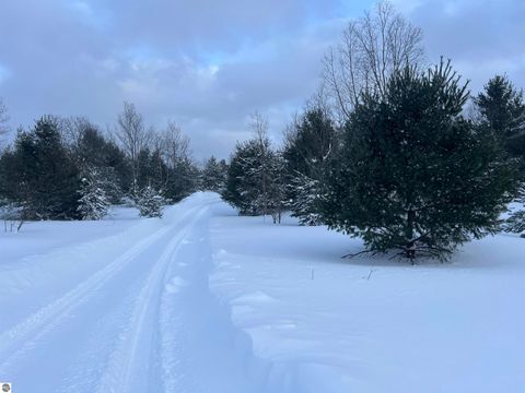 Tiny photo for 3690 County Road 571, Kalkaska, MI 49646 (MLS # 1941805)