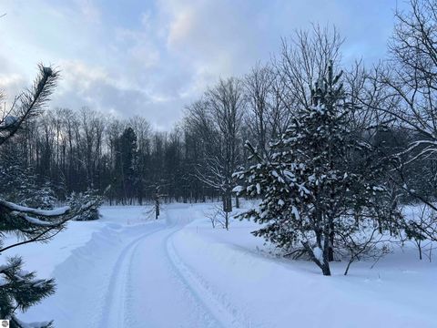 Tiny photo for 3690 County Road 571, Kalkaska, MI 49646 (MLS # 1941805)
