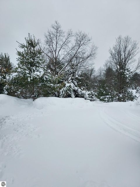 Tiny photo for 3690 County Road 571, Kalkaska, MI 49646 (MLS # 1941805)