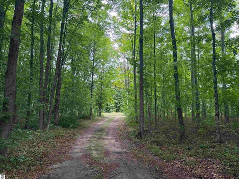 Tiny photo for 272 S Haze Road, Beulah, MI 49617 (MLS # 1949694)