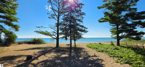 Tiny photo for 4437 S US-23, Greenbush, MI 48730 (MLS # 1949419)