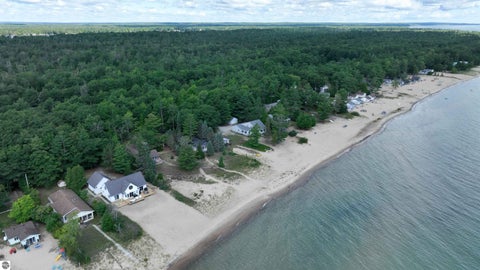 Tiny photo for 4437 S US-23, Greenbush, MI 48730 (MLS # 1949419)
