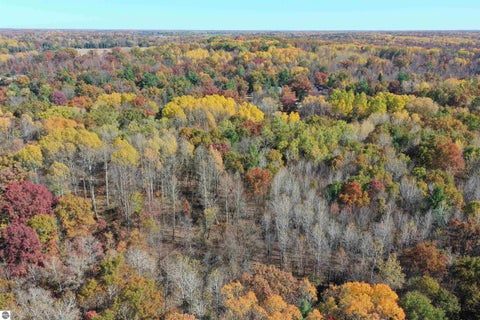 Tiny photo for 2166 Rifle River Trail, West Branch, MI 48661 (MLS # 1951827)
