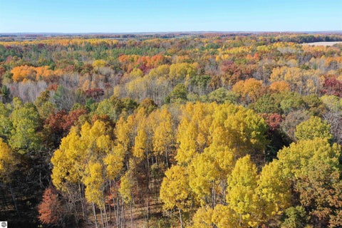 Tiny photo for 2166 Rifle River Trail, West Branch, MI 48661 (MLS # 1951827)