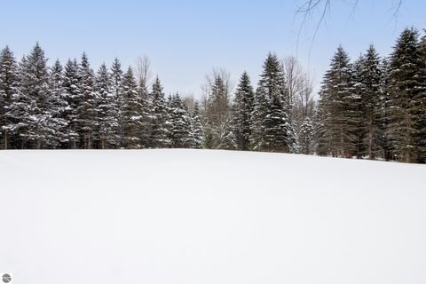 Tiny photo for 9775 SW Creighton Road, Fife Lake, MI 49633 (MLS # 1942148)