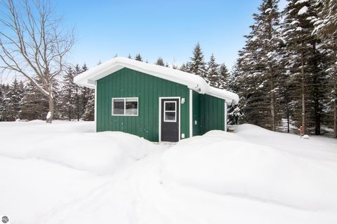 Tiny photo for 9775 SW Creighton Road, Fife Lake, MI 49633 (MLS # 1942148)