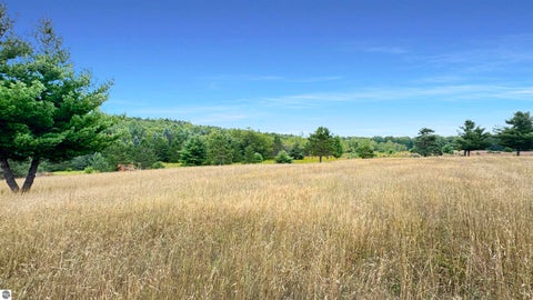 Tiny photo for 145 S 35 Road, Cadillac, MI 49601 (MLS # 1950029)