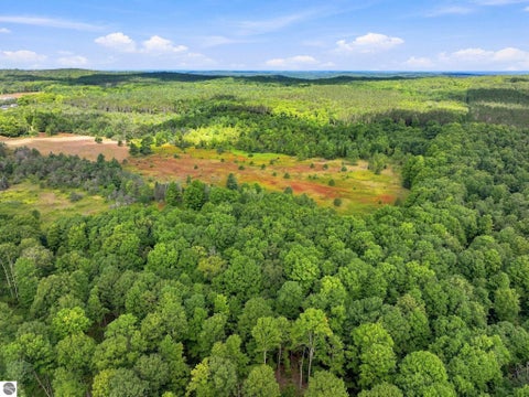 Tiny photo for 145 S 35 Road, Cadillac, MI 49601 (MLS # 1950029)