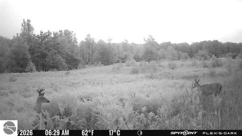 Tiny photo for 145 S 35 Road, Cadillac, MI 49601 (MLS # 1950029)