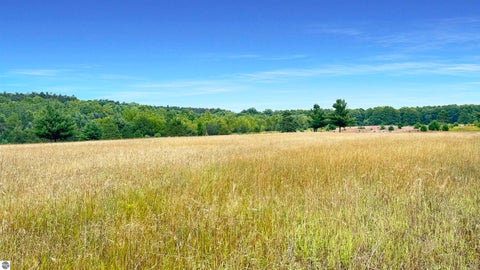 Tiny photo for 145 S 35 Road, Cadillac, MI 49601 (MLS # 1950029)