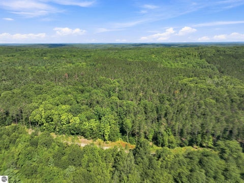 Tiny photo for 145 S 35 Road, Cadillac, MI 49601 (MLS # 1950029)