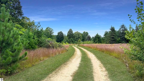Tiny photo for 145 S 35 Road, Cadillac, MI 49601 (MLS # 1950029)