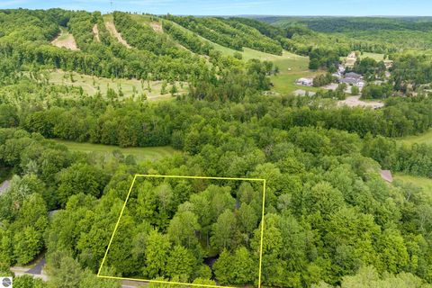 Tiny photo for 2176 W Schuss Mountain Drive, Bellaire, MI 49615 (MLS # 1947515)